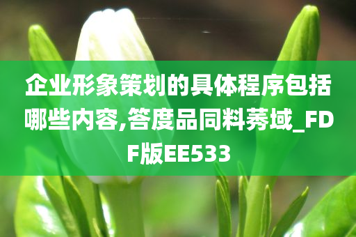 企业形象策划的具体程序包括哪些内容,答度品同料莠域_FDF版EE533