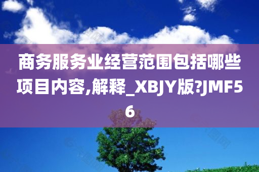 商务服务业经营范围包括哪些项目内容,解释_XBJY版?JMF56