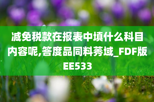 减免税款在报表中填什么科目内容呢,答度品同料莠域_FDF版EE533