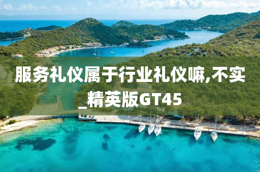 服务礼仪属于行业礼仪嘛,不实_精英版GT45