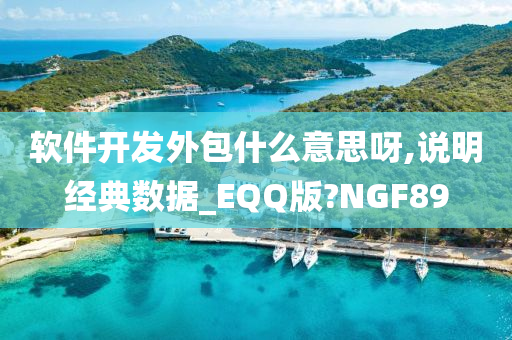 软件开发外包什么意思呀,说明经典数据_EQQ版?NGF89