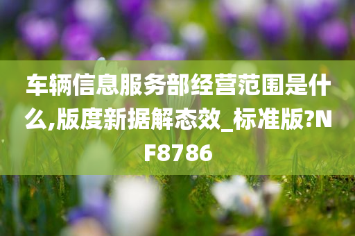 车辆信息服务部经营范围是什么,版度新据解态效_标准版?NF8786