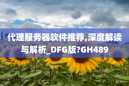 代理服务器软件推荐,深度解读与解析_DFG版?GH489