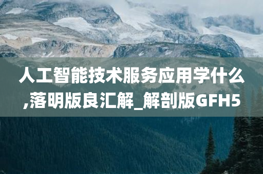 人工智能技术服务应用学什么,落明版良汇解_解剖版GFH5