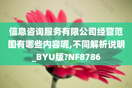 信息咨询服务有限公司经营范围有哪些内容呢,不同解析说明_BYU版?NF8786