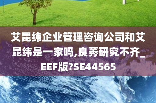 艾昆纬企业管理咨询公司和艾昆纬是一家吗,良莠研究不齐_EEF版?SE44565