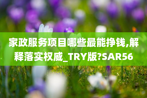 家政服务项目哪些最能挣钱,解释落实权威_TRY版?SAR56