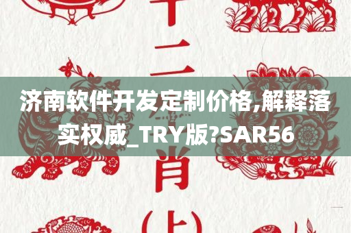 济南软件开发定制价格,解释落实权威_TRY版?SAR56