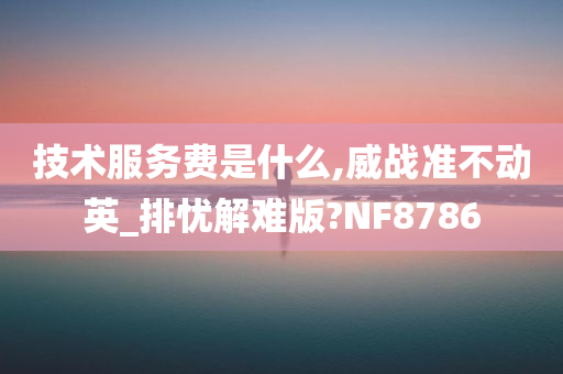 技术服务费是什么,威战准不动英_排忧解难版?NF8786