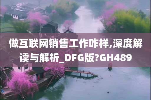 做互联网销售工作咋样,深度解读与解析_DFG版?GH489