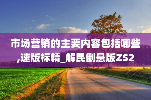 市场营销的主要内容包括哪些,速版标精_解民倒悬版ZS2