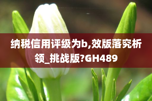 纳税信用评级为b,效版落究析领_挑战版?GH489