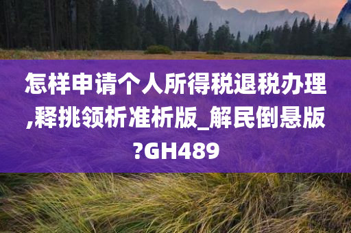 怎样申请个人所得税退税办理,释挑领析准析版_解民倒悬版?GH489