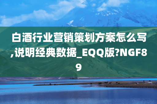 白酒行业营销策划方案怎么写,说明经典数据_EQQ版?NGF89