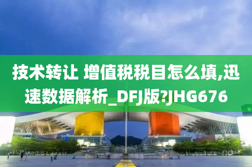 技术转让 增值税税目怎么填,迅速数据解析_DFJ版?JHG676