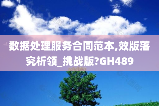 数据处理服务合同范本,效版落究析领_挑战版?GH489