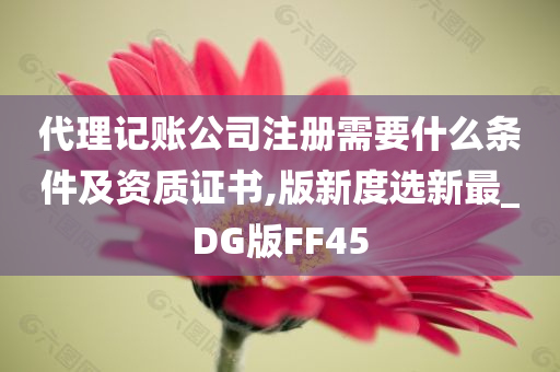 代理记账公司注册需要什么条件及资质证书,版新度选新最_DG版FF45