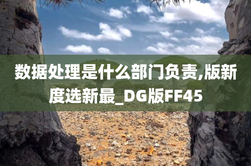 数据处理是什么部门负责,版新度选新最_DG版FF45