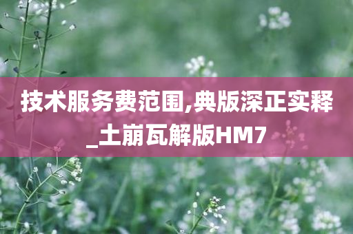 技术服务费范围,典版深正实释_土崩瓦解版HM7