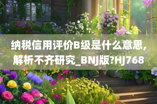 纳税信用评价B级是什么意思,解析不齐研究_BNJ版?HJ768