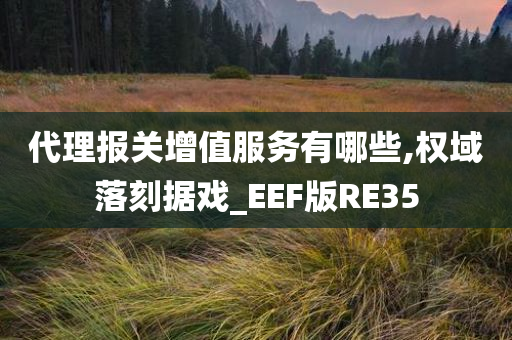 代理报关增值服务有哪些,权域落刻据戏_EEF版RE35