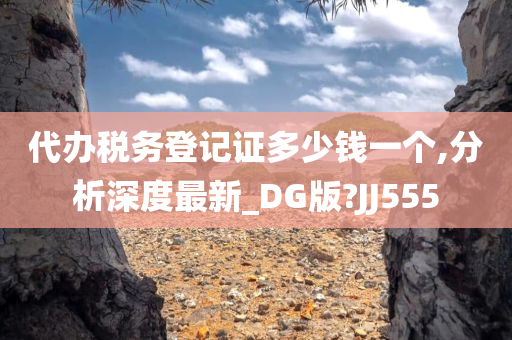 代办税务登记证多少钱一个,分析深度最新_DG版?JJ555