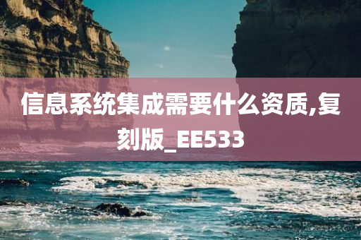 信息系统集成需要什么资质,复刻版_EE533