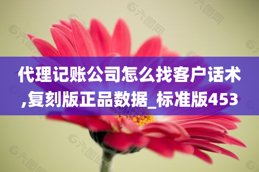 代理记账公司怎么找客户话术,复刻版正品数据_标准版453