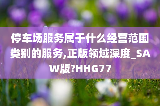 停车场服务属于什么经营范围类别的服务,正版领域深度_SAW版?HHG77