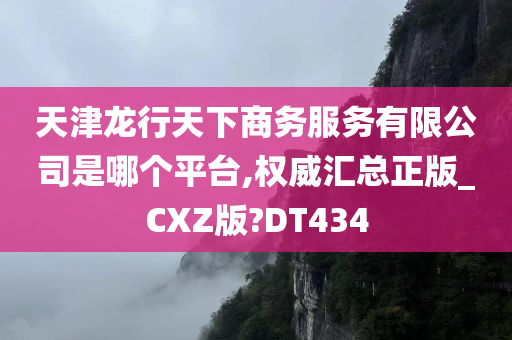 天津龙行天下商务服务有限公司是哪个平台,权威汇总正版_CXZ版?DT434