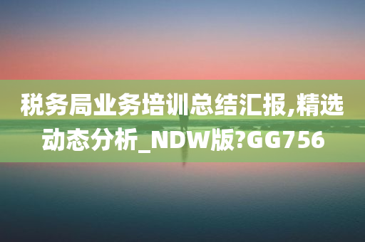 税务局业务培训总结汇报,精选动态分析_NDW版?GG756