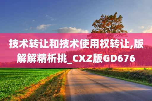 技术转让和技术使用权转让,版解解精析挑_CXZ版GD676