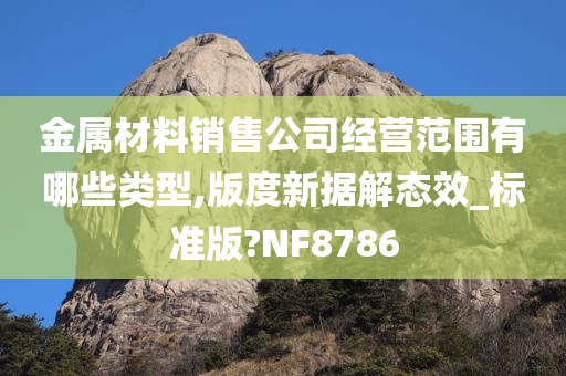 金属材料销售公司经营范围有哪些类型,版度新据解态效_标准版?NF8786