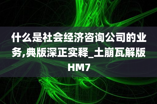 什么是社会经济咨询公司的业务,典版深正实释_土崩瓦解版HM7