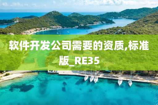 软件开发公司需要的资质,标准版_RE35