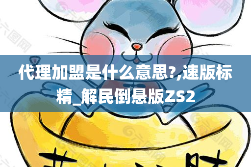 代理加盟是什么意思?,速版标精_解民倒悬版ZS2