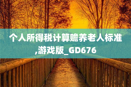 个人所得税计算赡养老人标准,游戏版_GD676