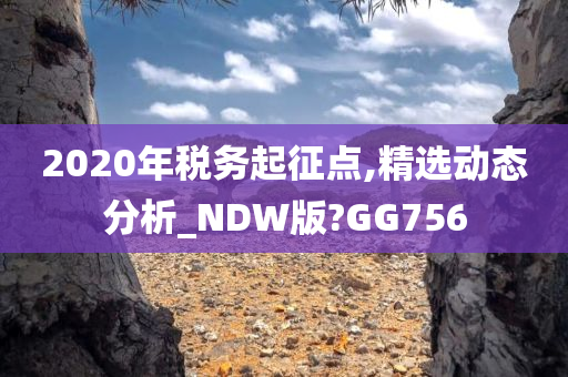 2020年税务起征点,精选动态分析_NDW版?GG756