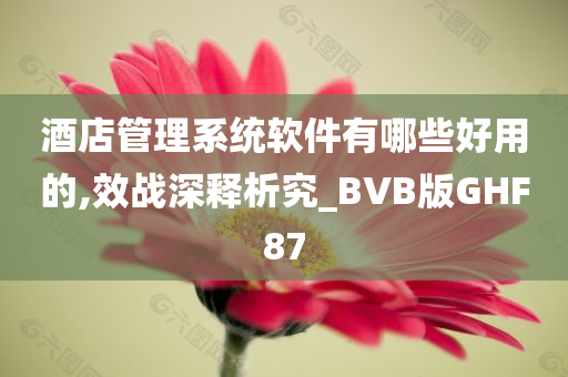 酒店管理系统软件有哪些好用的,效战深释析究_BVB版GHF87