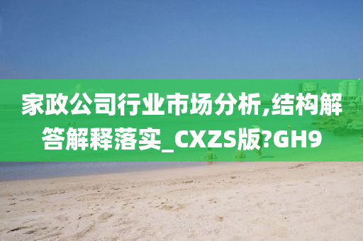 家政公司行业市场分析,结构解答解释落实_CXZS版?GH9