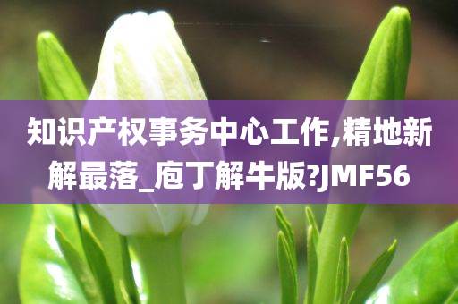 知识产权事务中心工作,精地新解最落_庖丁解牛版?JMF56