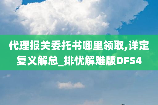 代理报关委托书哪里领取,详定复义解总_排忧解难版DFS4