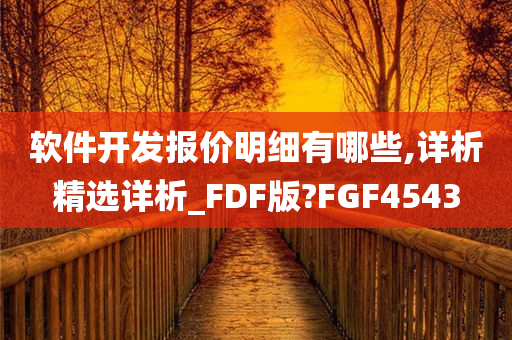 软件开发报价明细有哪些,详析精选详析_FDF版?FGF4543