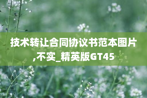 技术转让合同协议书范本图片,不实_精英版GT45