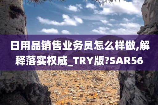 日用品销售业务员怎么样做,解释落实权威_TRY版?SAR56