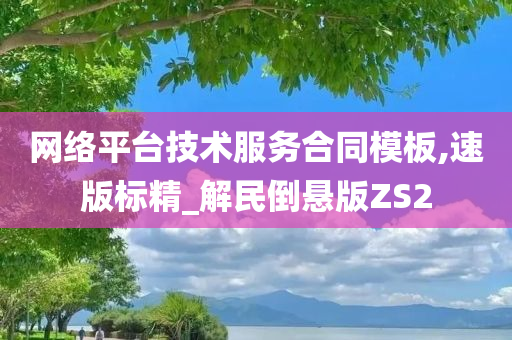 网络平台技术服务合同模板,速版标精_解民倒悬版ZS2