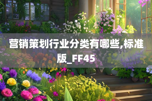 营销策划行业分类有哪些,标准版_FF45