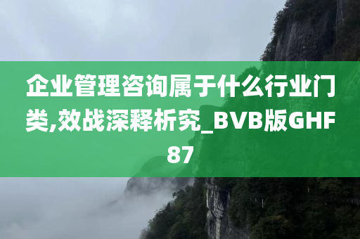 企业管理咨询属于什么行业门类,效战深释析究_BVB版GHF87