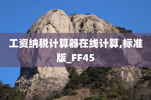 工资纳税计算器在线计算,标准版_FF45