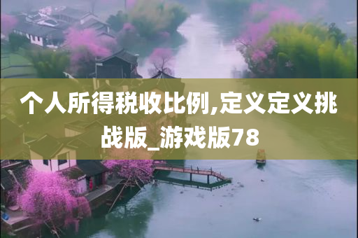 个人所得税收比例,定义定义挑战版_游戏版78